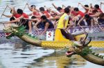 Dragon Boat Festival 
