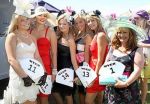Adelaide Cup